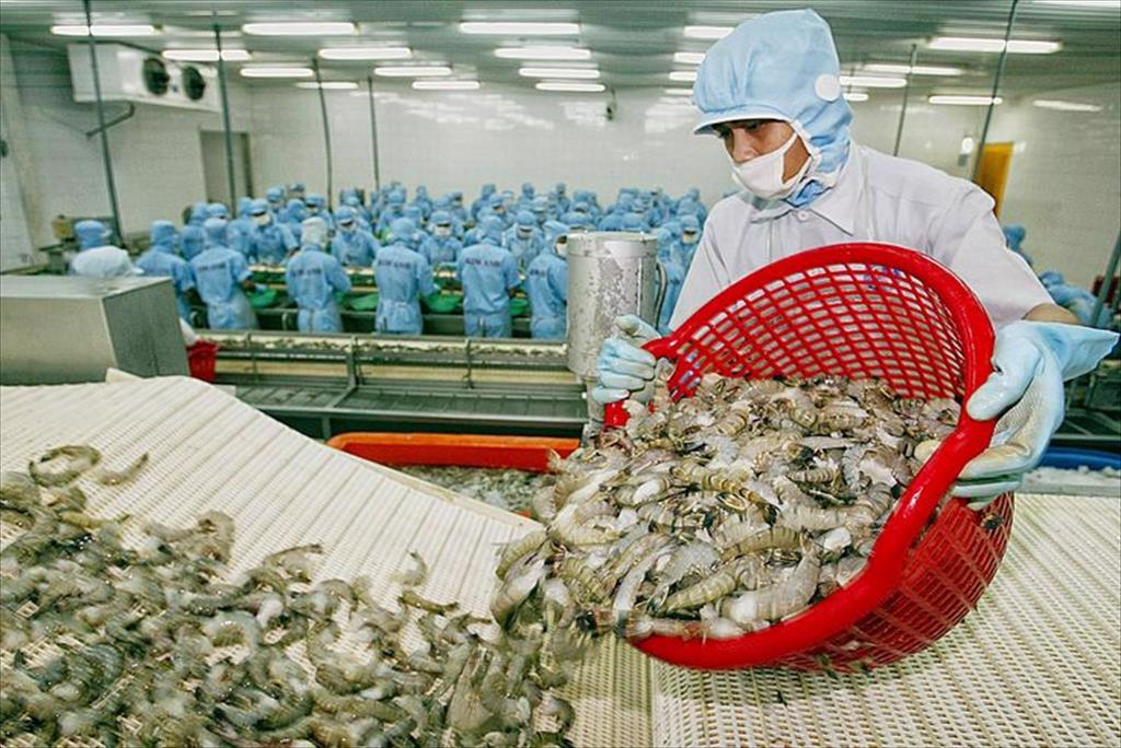 Khai thác 3 FTA thương mại Việt Nam  Australia tăng tốc đạt 157 tỷ USD