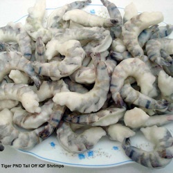 Tây Ban Nha: Giá tôm ổn định