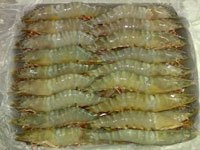 Nhật Bản: Tiêu thụ tôm tăng 